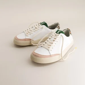 Lemon Everest & Leopard