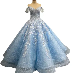 Robe De Bal Forme Princesse Longue