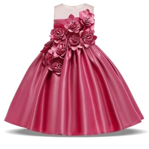 Robe Petite Fille Princesse
